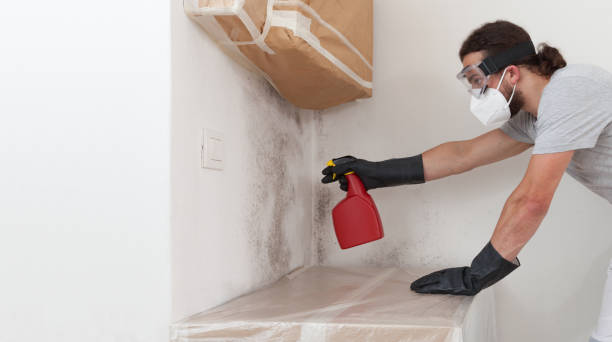 Professional Basement Mold Removal technician working in Inwood, NY