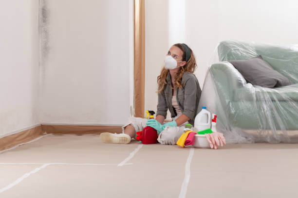 Reliable Basement Mold Removal contractor in Inwood, NY by WQB Mold Removal
